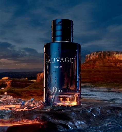 ambroxan dior sauvage|sauvage by dior cologne.